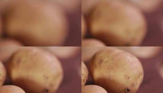 中景马铃薯土豆高清在线视频素材下载