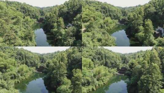 航拍绿色植物森林青山绿水高清在线视频素材下载