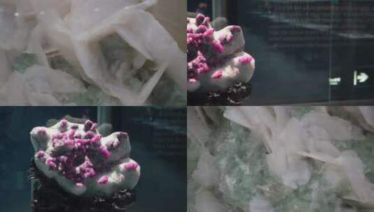 【镜头合集】拍卖会上的宝石玉石彩色矿石高清在线视频素材下载