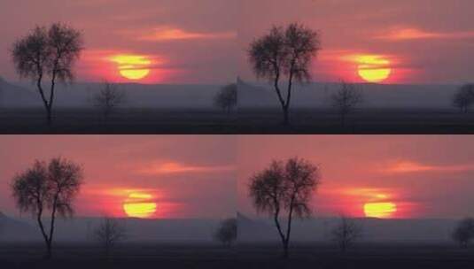 神秘的红色夕阳在乡村高清在线视频素材下载