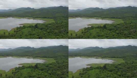 泰国北碧府热带森林高清在线视频素材下载