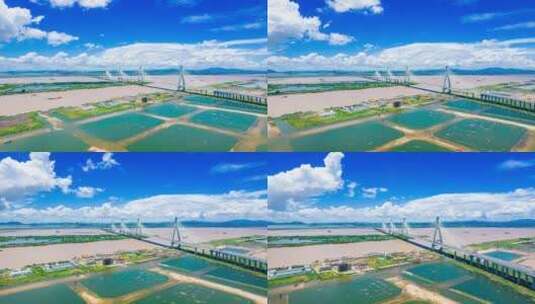 珠海洪鹤大桥航拍延时高清在线视频素材下载