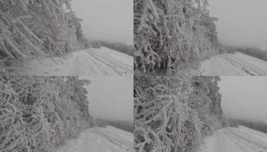 大自然冬天冰雪覆盖的森林高山雪山美景特写高清在线视频素材下载