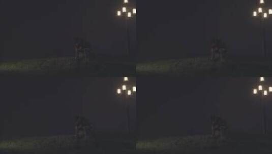 男人晚上在草地上坐着高清在线视频素材下载