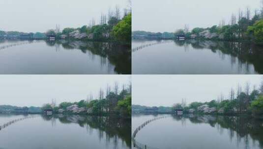 杭州西湖曲院风荷高清在线视频素材下载