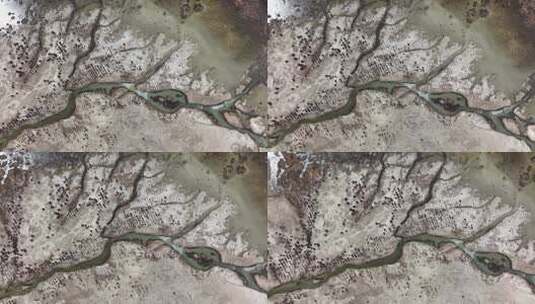 西藏定结县湿地公园航拍高原湿地航拍高清在线视频素材下载