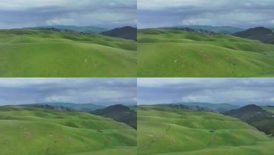 航拍中国新疆夏季山脉草原景观高清在线视频素材下载