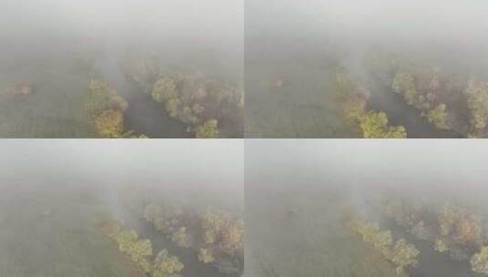 河谷湿地草场树木晨雾秋色高清在线视频素材下载