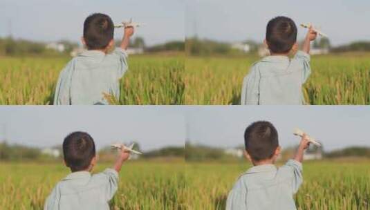 小朋友稻田手拂麦穗玩耍玩飞机高清在线视频素材下载