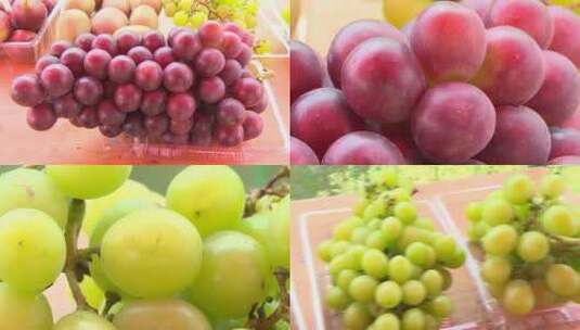 3202 青提 葡萄 水果高清在线视频素材下载