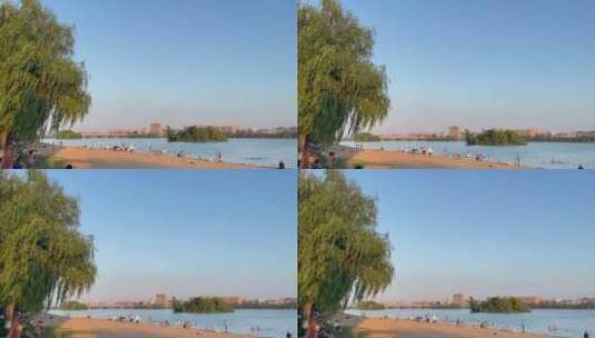 风吹柳树落日余晖河边沙滩游玩的人高清在线视频素材下载
