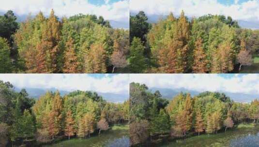 大理洱海大理湖泊秋天秋景航拍高清在线视频素材下载