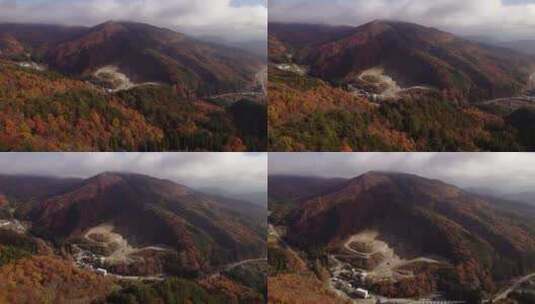 秋天日本阿尔卑斯山上空的一只苍蝇及其秋叶高清在线视频素材下载