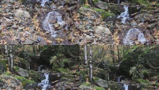 4K实拍森林溪流的流水与秋叶高清在线视频素材下载