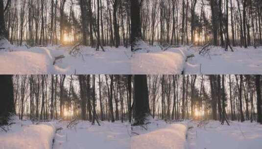 冬天下雪过后阳光透过树林照射在雪地上高清在线视频素材下载