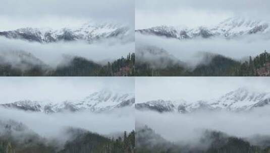 西藏林芝大气航拍自然风光云雾缭绕雪山森林高清在线视频素材下载