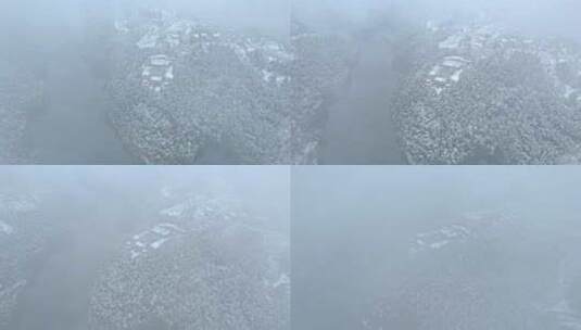 四川大深南海冬天森林下雪景观高清在线视频素材下载