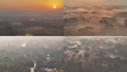 杭州西溪湿地初冬晨雾云雾缭绕（稀缺合集）高清在线视频素材下载