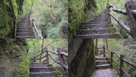 【4K】茶马古道，玉溪兴平哀牢山茶马古道高清在线视频素材下载