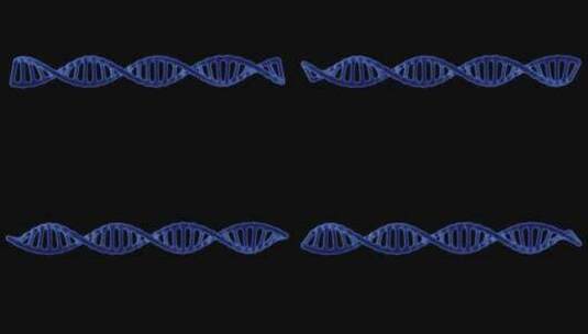 数字DNA、人类基因组的概念动画高清在线视频素材下载