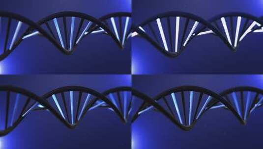 DNA动画循环高清在线视频素材下载