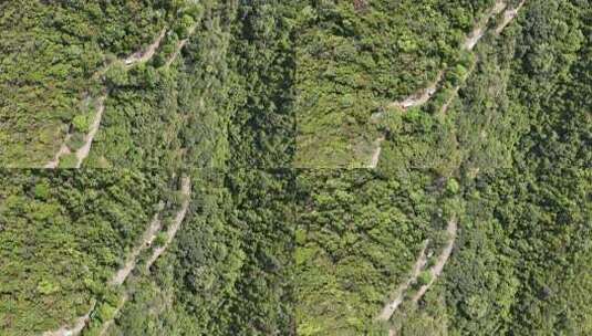 广东观音山国家森林公园第十二届登山大赛高清在线视频素材下载