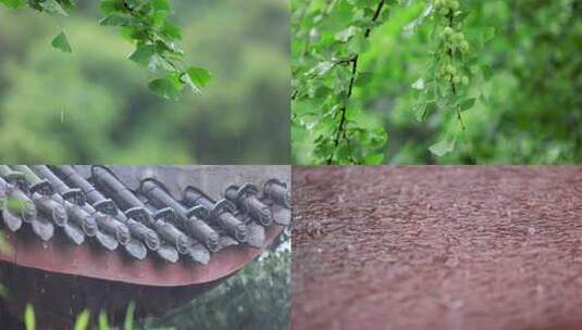 绿叶雨水下雨古建筑高帧4k高清在线视频素材下载