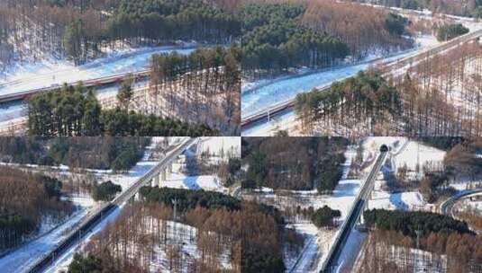 中国黑龙江高铁列车行驶在雪原森林高清在线视频素材下载