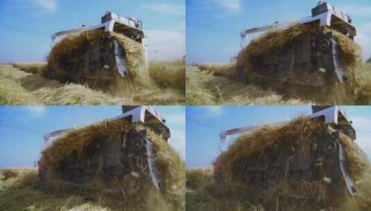 稻田收割水稻高清在线视频素材下载