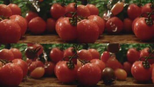 一堆鲜艳的西红柿高清在线视频素材下载