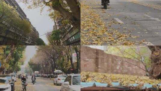 秋日城市小镇街道落叶景观高清在线视频素材下载