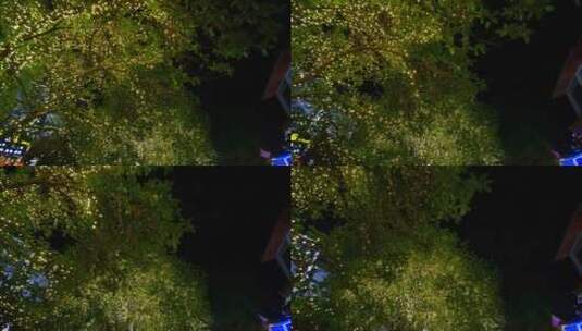 桂林阳朔西街夜景树上的霓虹灯饰高清在线视频素材下载