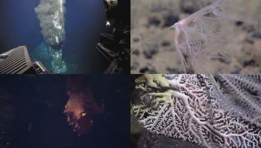 马里亚纳海沟深水探险拍摄的生命和火山活动镜头高清在线视频素材下载