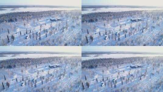 北极牧场的树木和住宿高清在线视频素材下载