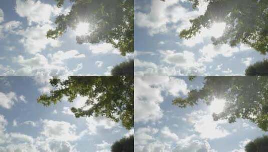 云掠过一棵树的时间流逝高清在线视频素材下载