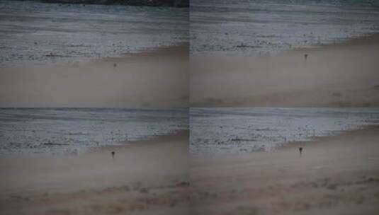 狂暴的风沙吹过海边沙滩高清在线视频素材下载