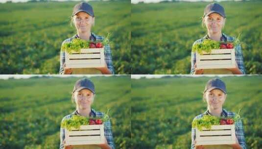 开朗的女农民拿着一盒蔬菜站在田野里高清在线视频素材下载