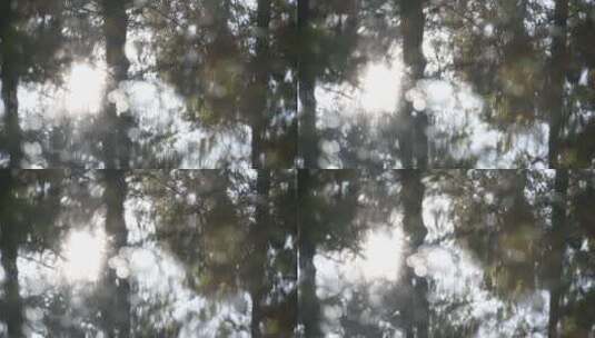 1080p-水中倒影，光影浮动高清在线视频素材下载