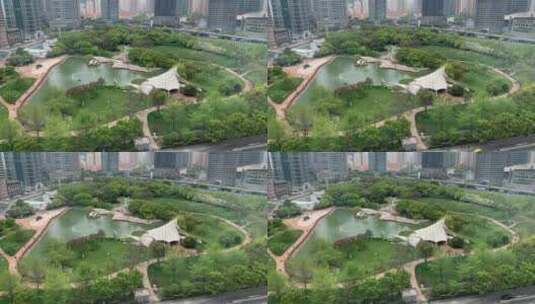 上海浦东中心绿地公园延时高清在线视频素材下载