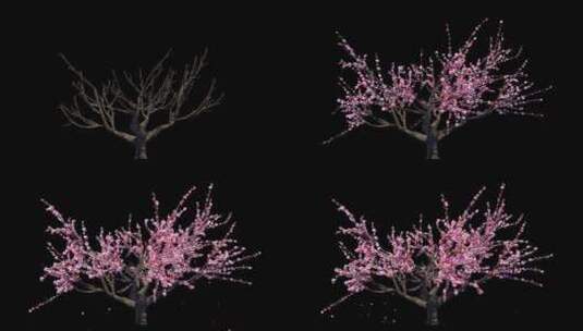 唯美桃花通道  生长树 发光粒子高清在线视频素材下载