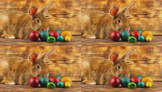 复活节兔子和彩蛋高清在线视频素材下载