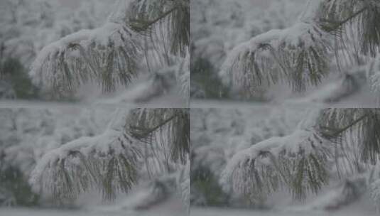 冬天雪景 下雪空镜高清在线视频素材下载