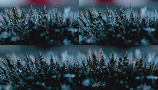 微距实拍4K微观金属被吸引有机物特写素材24高清在线视频素材下载