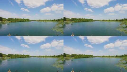 洞林湖水系湖泊湿地高清在线视频素材下载