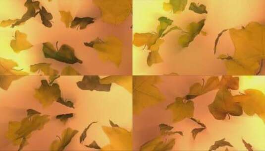 动画的树叶落下高清在线视频素材下载