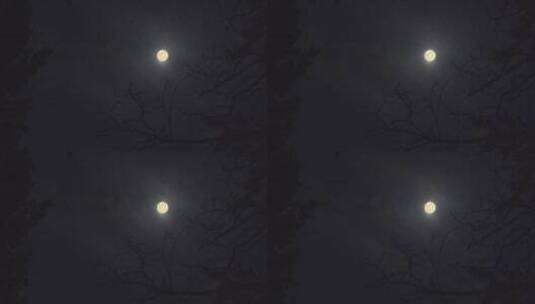 夜晚月亮 （4K原创可商用）高清在线视频素材下载