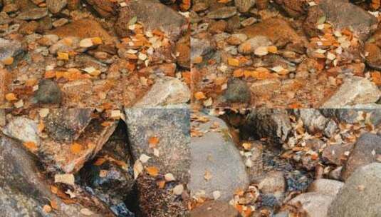 秋天的河里，落叶飘浮在水面高清在线视频素材下载