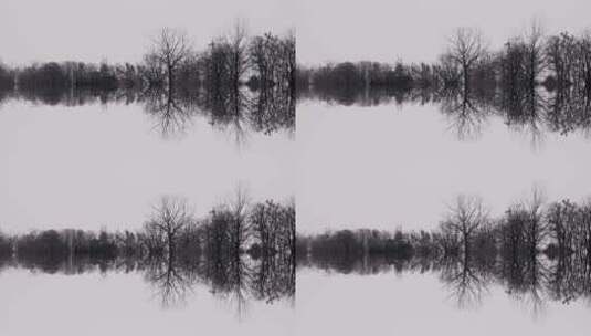 冬季枯树在湖面的倒影高清在线视频素材下载