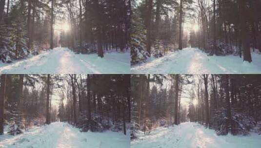 冬天雪地上阳光照射下的树林美景特写高清在线视频素材下载