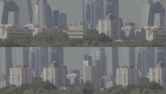 城市高空飞翔的鸽子 北京鸽子高清在线视频素材下载